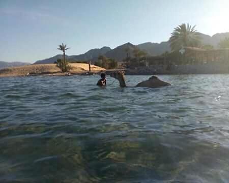 Sebaii Camp السباعى كامب شاطئ الترابين بجوار ويت بالس Hostel Nuweiba Luaran gambar
