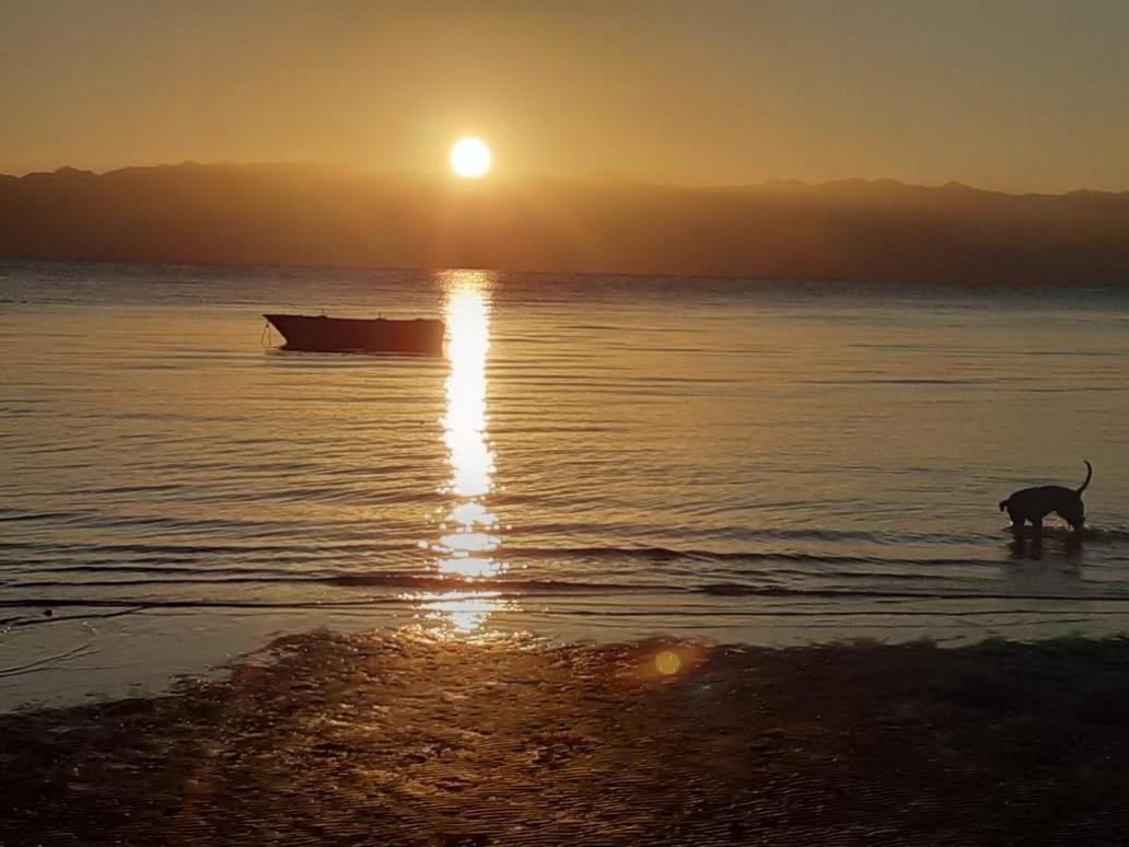 Sebaii Camp السباعى كامب شاطئ الترابين بجوار ويت بالس Hostel Nuweiba Luaran gambar