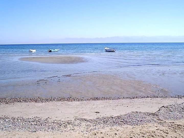 Sebaii Camp السباعى كامب شاطئ الترابين بجوار ويت بالس Hostel Nuweiba Luaran gambar