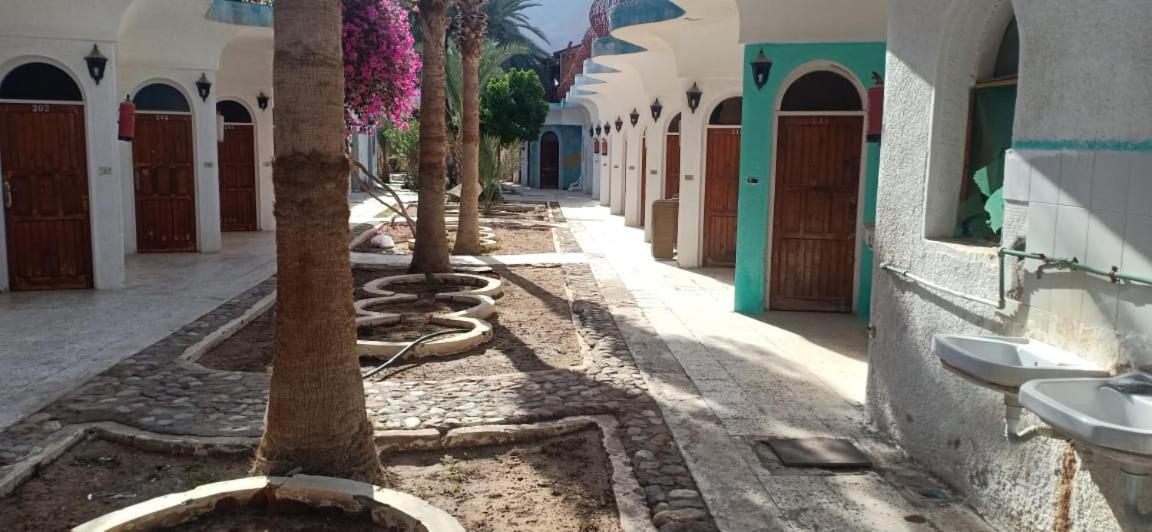 Sebaii Camp السباعى كامب شاطئ الترابين بجوار ويت بالس Hostel Nuweiba Luaran gambar